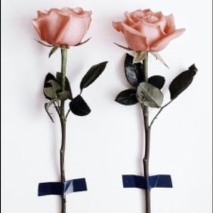 Meet your Posher, Maggie